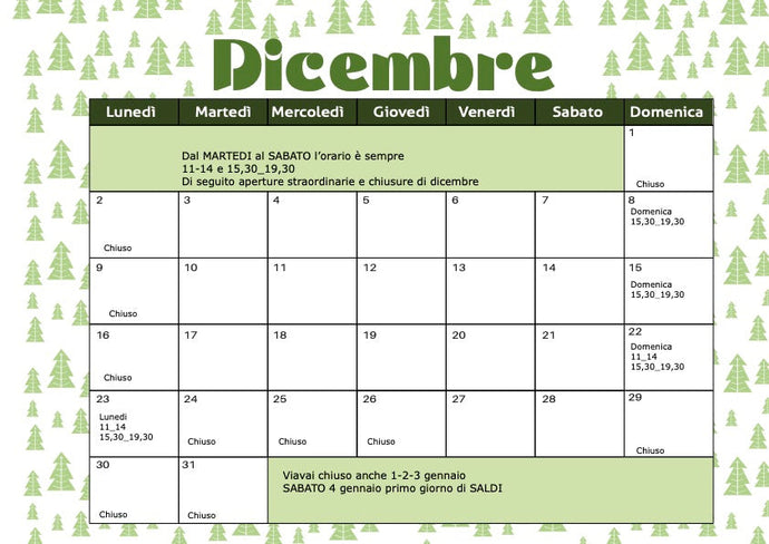 Natale sta arrivando! Ecco gli orari speciali di dicembre 2024