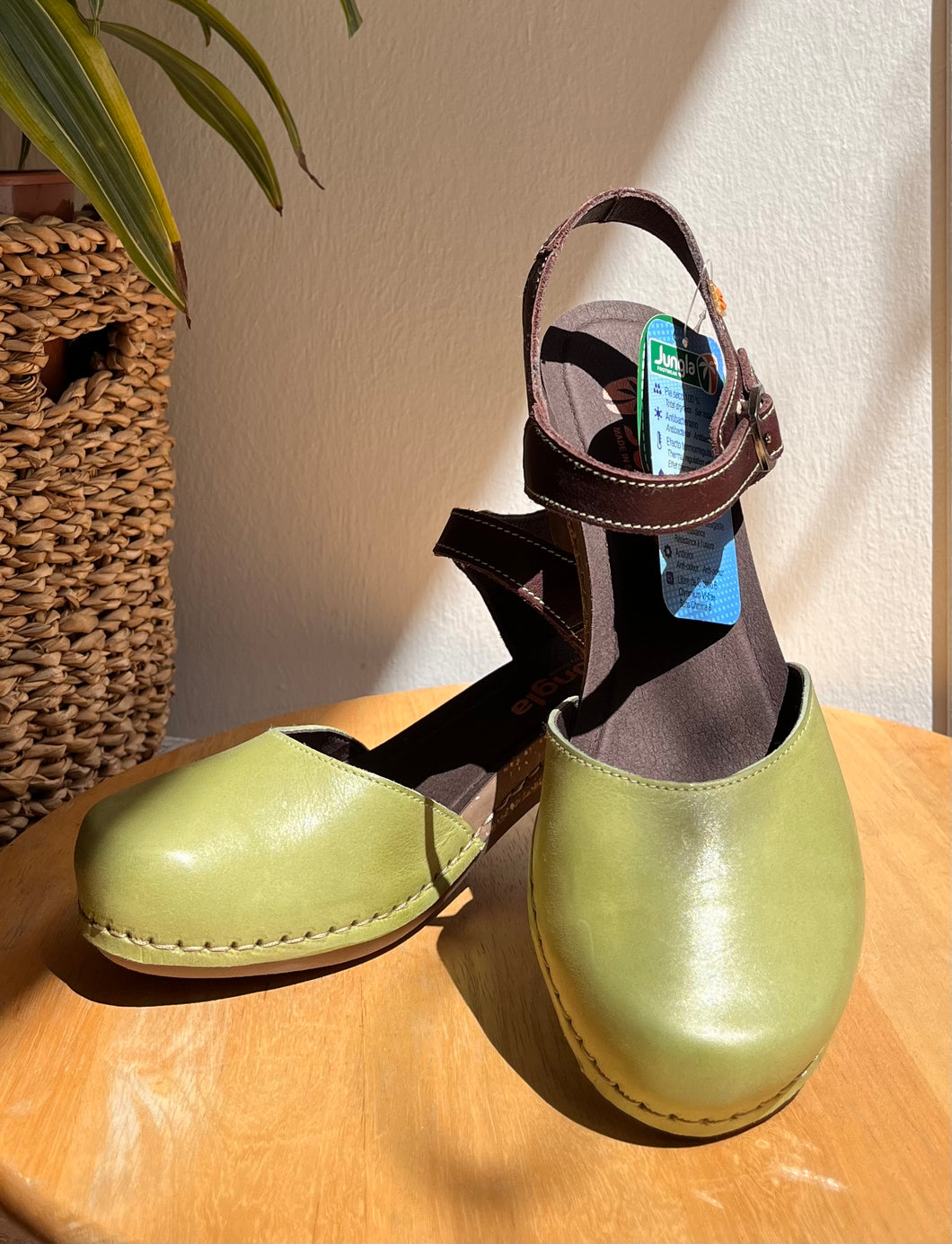 Jungla - Zoccoletto Kiwi