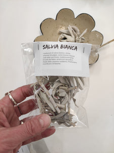 Salvia Bianca - foglie/mazzetti